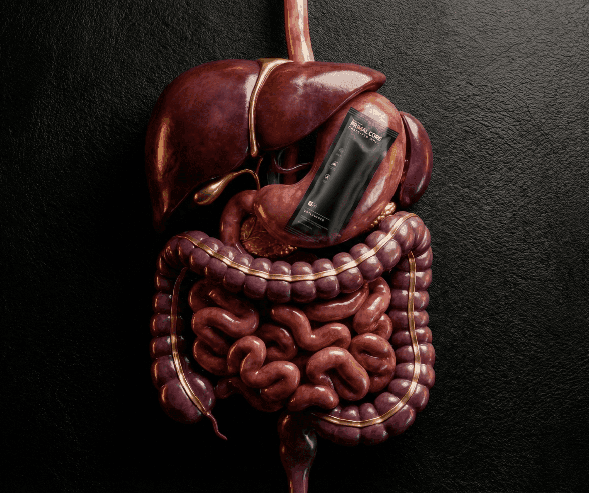 Whey Limpo e Saúde Intestinal em 2026: Porquê a Proteína Ideal para o Seu Microbioma