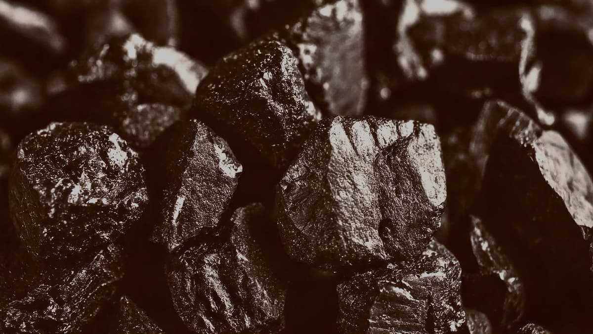 Benefícios do Shilajit para Entusiastas de Ginásio: Superalimento Ancestral para o Fitness Moderno
