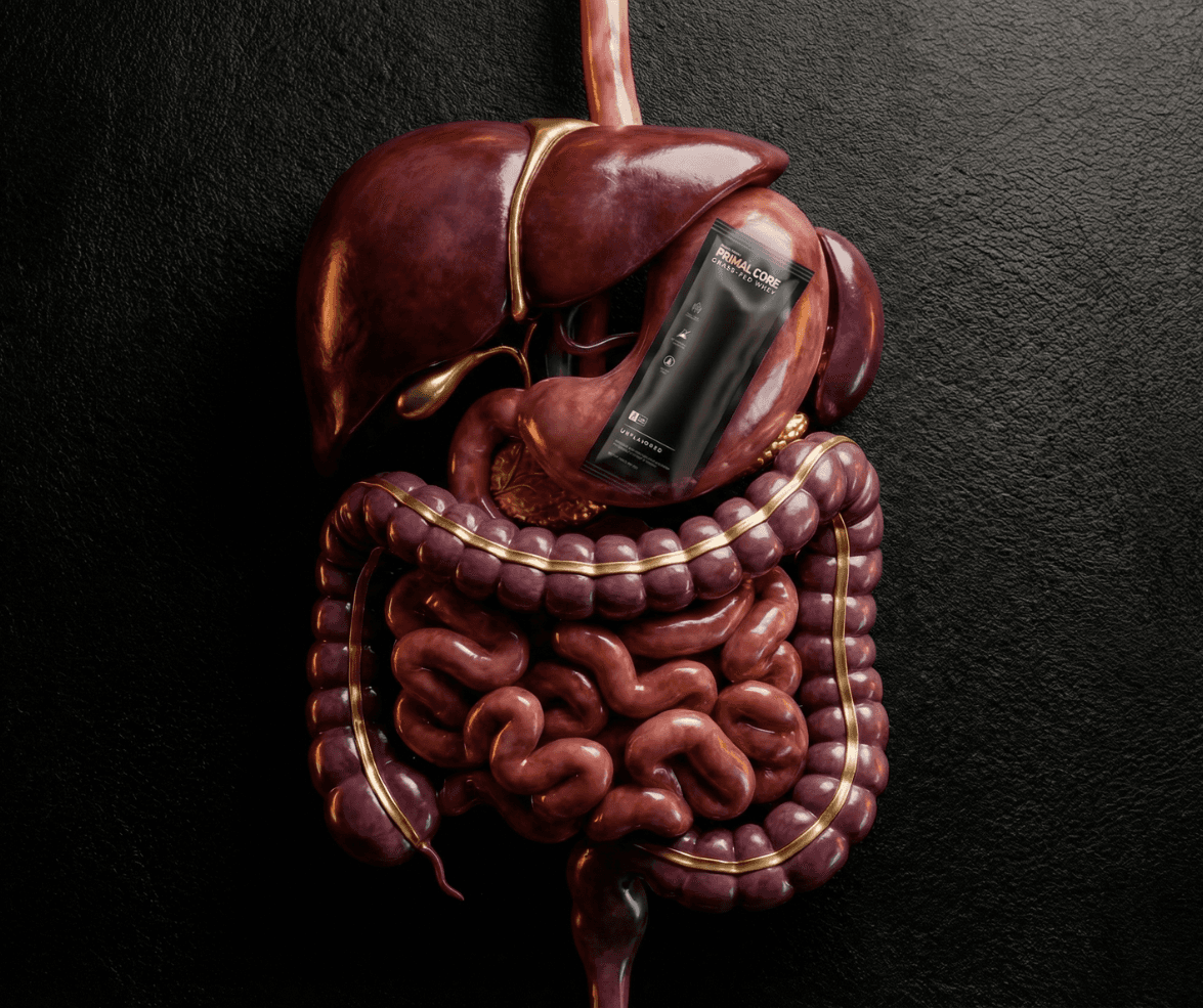 Clean Whey & Gut Health in 2026: Why It's the Ultimate Protein for Your Microbiome